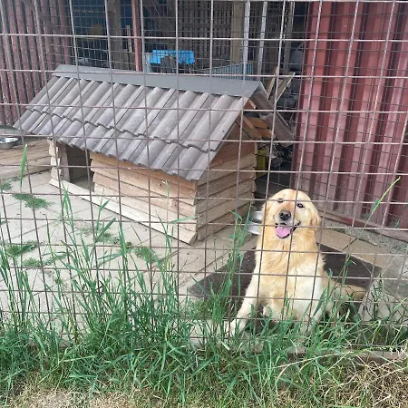 Privat Luna アパート *