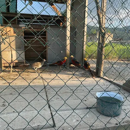 Privat Luna Appartamento