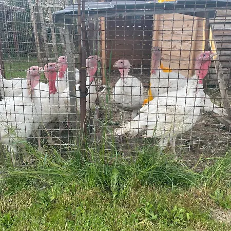 Apartamento Privat Luna Ľubeľa