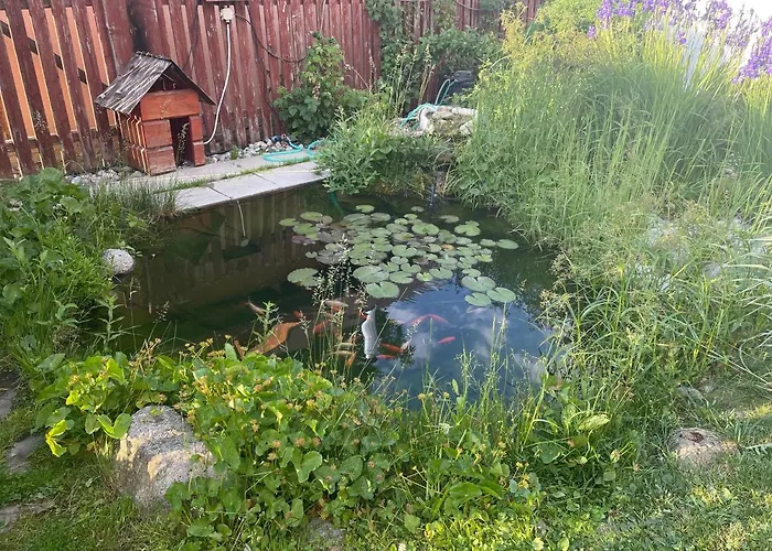 Privat Luna Apartamento
